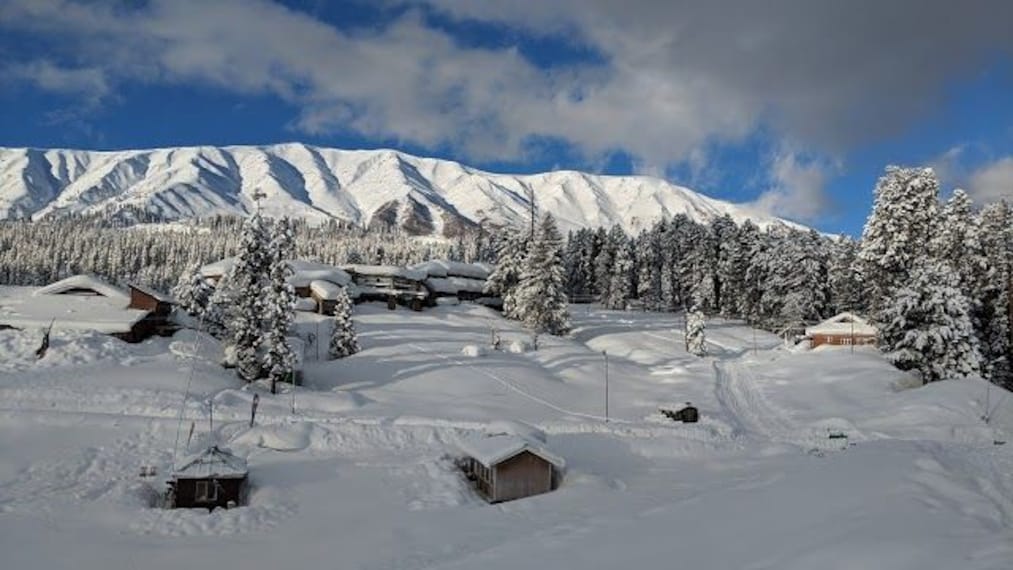 Gulmarg Biosphere Reserve_4